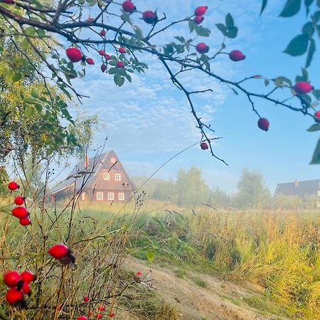 Chata Waliszow Nowy Waliszow 外观 照片