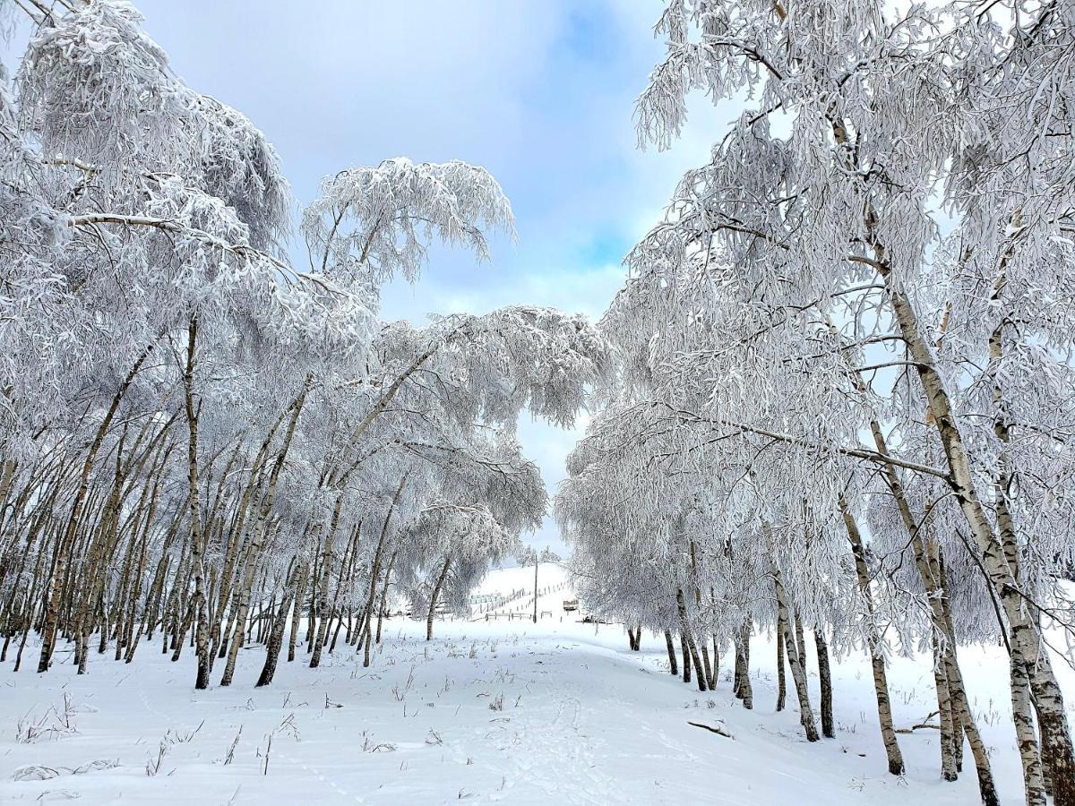 Chata Waliszow Nowy Waliszow 外观 照片