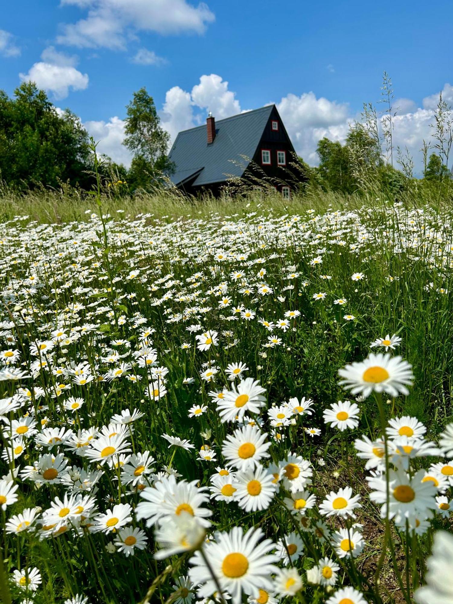 Chata Waliszow Nowy Waliszow 外观 照片
