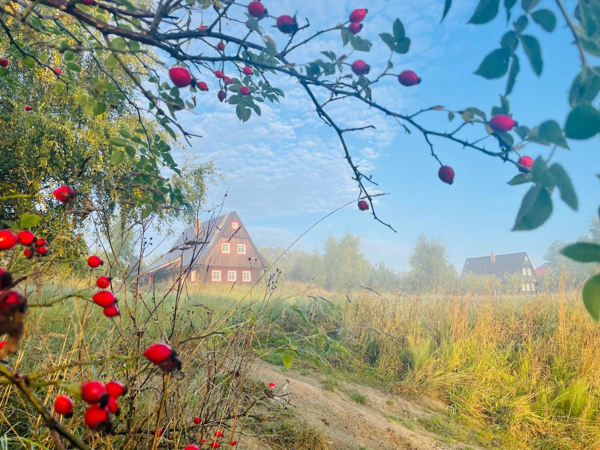 Chata Waliszow Nowy Waliszow 外观 照片